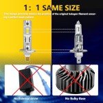 Super Bright H1 Fog Light Bulbs - Pack of 2