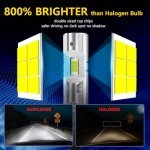 Super Bright H1 Fog Light Bulbs - Pack of 2