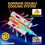 Super Bright H1 Fog Light Bulbs - Pack of 2