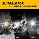 55W/60W H4 Halogen Headlight Bulbs - Pack of 2