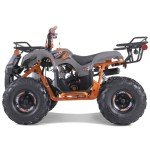 TAO MOTOR T-Force 125cc Adult ATV - Orange