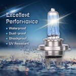 H7 Halogen Headlight Bulbs - Pack of 2