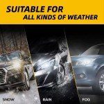 H7 Halogen Headlight Bulbs - Pack of 2