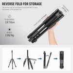 Portable Aluminum Light Stand for Photography