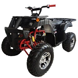 X-PRO 200 ATV Utility with Automatic Transmission