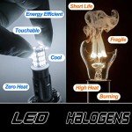 BA15S LED Bulbs 6000K Daylight White - 5 Pack