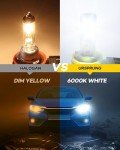 Ursprung H11 9005 Bright Fog Light Bulbs Combo