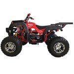 X-PRO 200 ATV with Reverse & Big Wheels