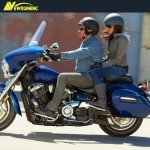 Harley Sportster Adjustable Eagle Pattern Floorboards