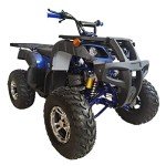 X-PRO 200 Utility ATV with Automatic Transmission