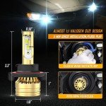 Ford F150/F250/F350 Light Bulb Kit (2004-2014)