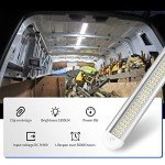 12V LED Light Bar for RVs and Trailers (4 Pack)