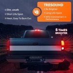 Dodge Ram Tail Light & 3rd Brake Lamp 2009-2019