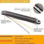 10" LED Trailer Tail Light Bar - Red & Amber