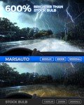Marsauto H3 Fog Light Bulb - 10000LM, 6000K, Pack of 2