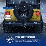 LED Tail Lights for Jeep Wrangler 1979-2006