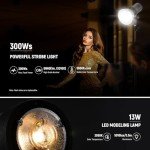 NEEWER Q300 300Ws Wireless Outdoor Flash System