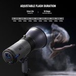 NEEWER Q300 300Ws Wireless Outdoor Flash System