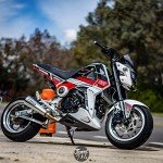Carbon Fiber Lock Cover for Honda Grom 2013-2016