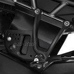 Pan America 1250S Rear Passenger Fender Panel