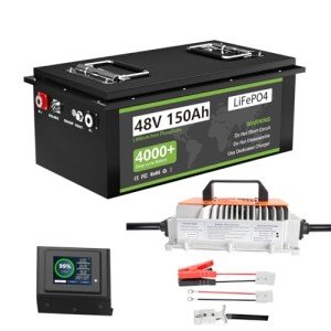 150Ah LiFePO4 Golf Cart Battery with Charger