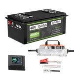150Ah LiFePO4 Golf Cart Battery with Charger