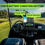 150Ah LiFePO4 Golf Cart Battery with Charger