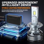 H11 LED Fog & Headlight Bulb - 32000LM Pair