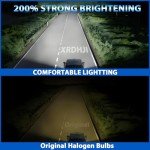 Fiat 500 Halogen Headlight Bulbs 2012-2019
