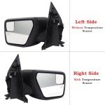 Ford F-150 Right Passenger Side Door Mirror