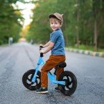 Birtech 12-Inch Balance Bike for Toddlers - Light Blue