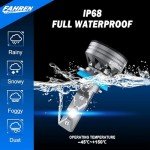 FAHREN Super Bright H11 Fog Light Bulbs, 2-Pack