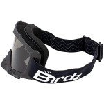 Birdz Eyewear Tukan Motorcycle Glasses with Nose Guard