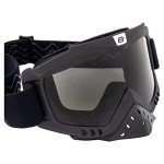 Birdz Eyewear Tukan Motorcycle Glasses with Nose Guard