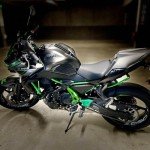 Kawasaki Ninja 650 Z650 Frame Side Covers (Green)