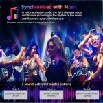 2-Pack Sound Activated Disco Ball Party Lights