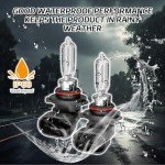 SamWinGear 2PCS 9005/HB3/9006 Halogen Headlight Bulbs