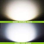 LED Spot Light Bulb for RV and Trailer (4-Pack)