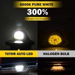 LED License Plate Light for Ford Trucks (2PCS)