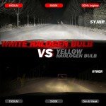 Bright 6000K Halogen Bulbs for Honda Civic
