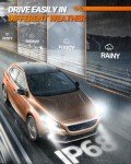 SEALIGHT H11 H8 H16 360° LED Fog Bulbs