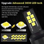 Purple LED Turn Signal Bulbs - Pack of 2