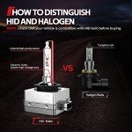 Torchbeam D3S 6000K HID Headlight Bulbs - 2 Pack