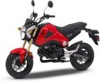 Carbon Fiber Rear Side Cover for Honda Grom