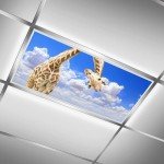 Giraffe Magnetic Light Covers - 2 Pack Fluorescent