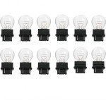 12 Pack of 3157 Automotive Light Bulbs