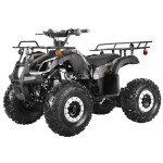 Seangles 125cc ATV with Reverse and Big Tires