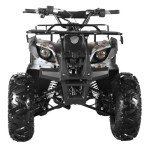 Seangles 125cc ATV with Reverse and Big Tires