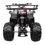 Seangles 125cc ATV with Reverse and Big Tires