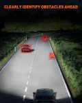 BEAMOTOR H11 LED Fog Light Bulbs - 6000K White